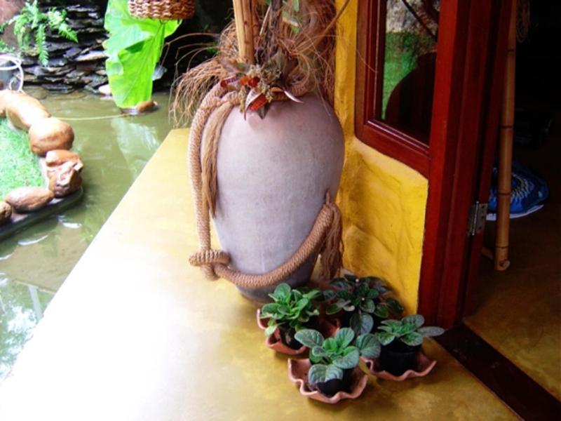 Pousada Bambu Brasil São Jorge Esterno foto
